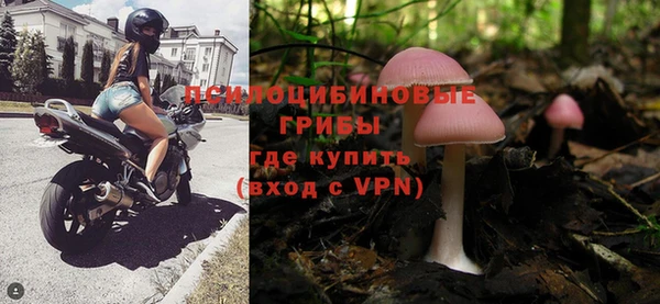мяу мяу мука Арсеньев